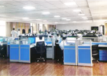 Professional Bridge Crane Engineering Team