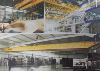 1V1 Custom Bridge Crane Solutions